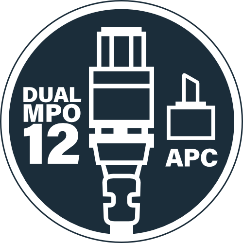 Dual MPO-12 to APC